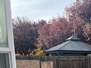 2733 Sunflower Circle 5 Beds House for Rent - Photo Gallery 4