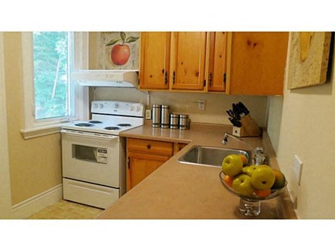 a kitchen with a sink and a stove and a window
