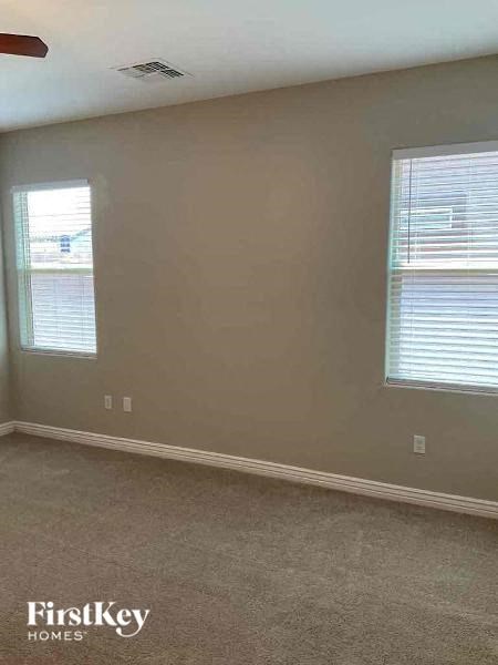 a living room with two windows and a carpet