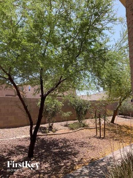 a tree in a yard next to a building