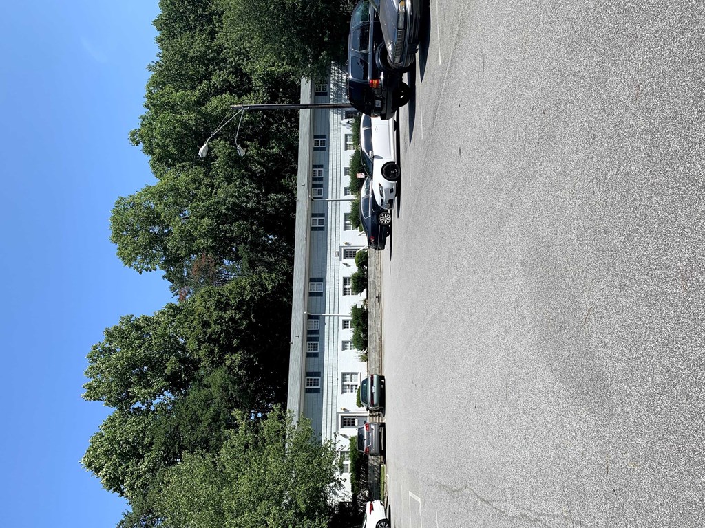 a person riding a bike down a street next to a tree