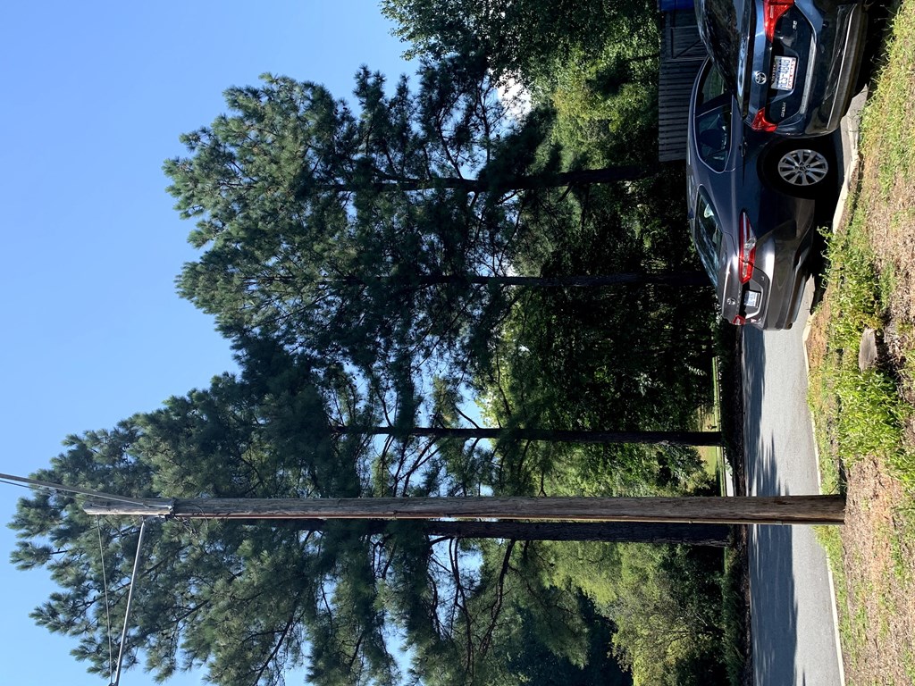 a car driving down a road next to a tree