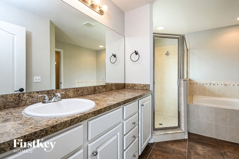 a bathroom with a sink and a shower