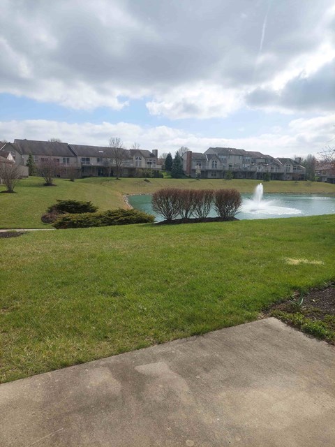 A pond with a fountain in the middle of a grassy area.