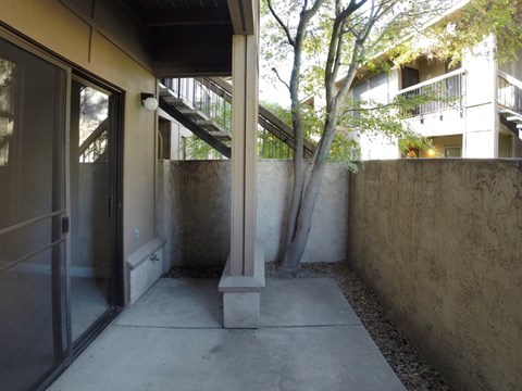 A concrete patio with a tree and a building in the background.