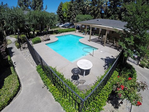A pool surrounded by a black fence and greenery.