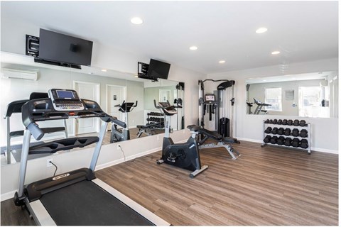 the gym is equipped with treadmills and a tv
