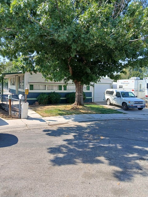 A tree in front of a house and a white van parked in front of the house.