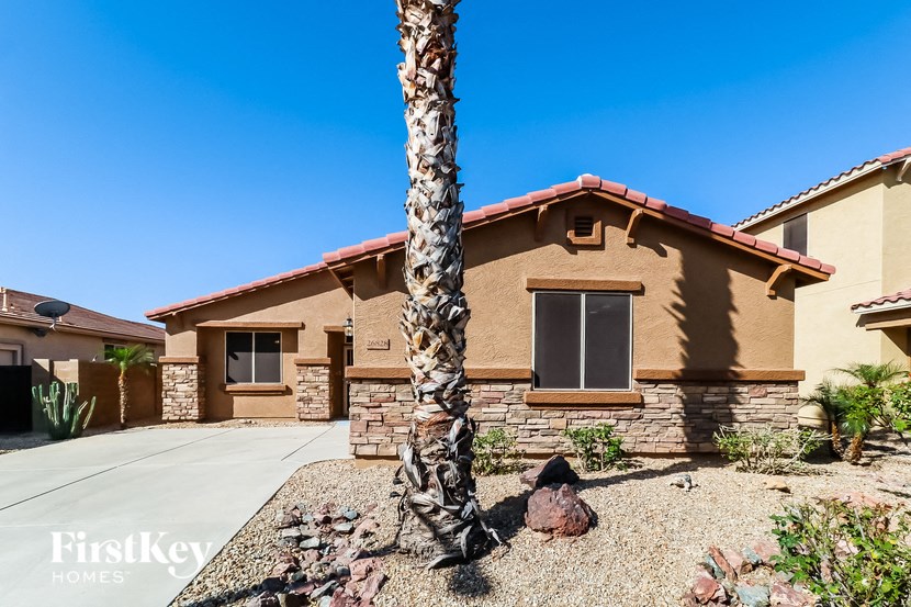 a house with a palm tree in front of it
