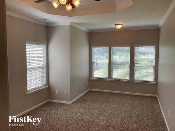 A room with a carpeted floor and a ceiling fan.
