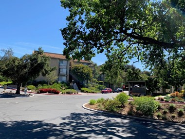 SEQUOIA 16 1 Bed Apartment for Rent