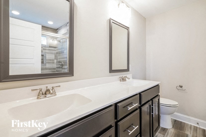 a bathroom with a sink and a mirror and a toilet