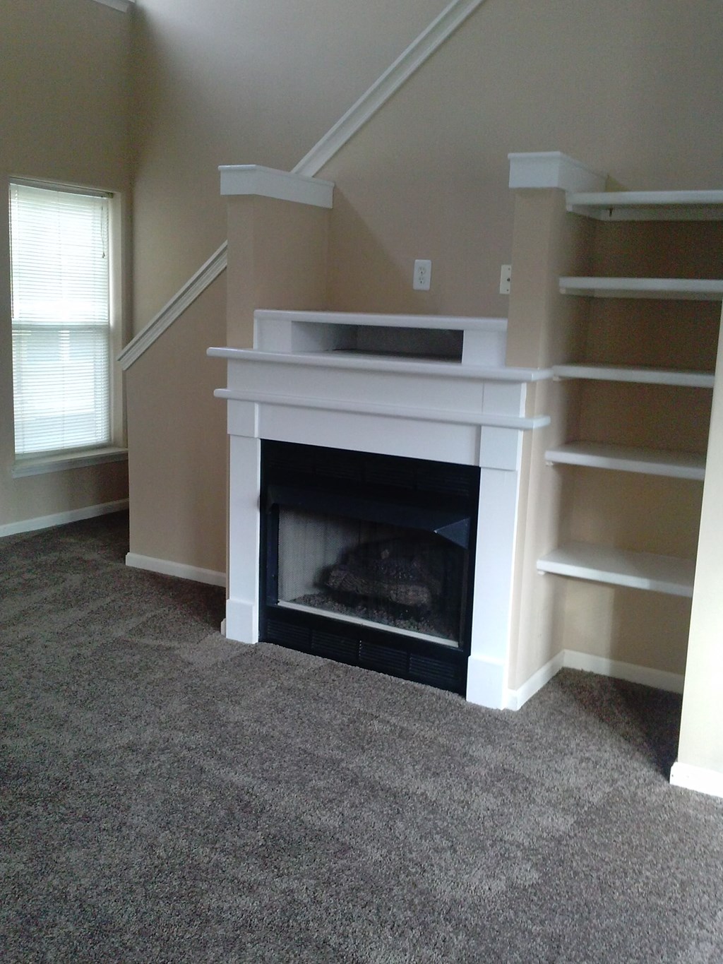 the living room with the fireplace and book shelves