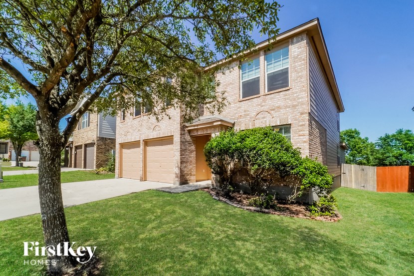 3838 SAUSALITO FERN Studio House for Rent - Photo Gallery 2