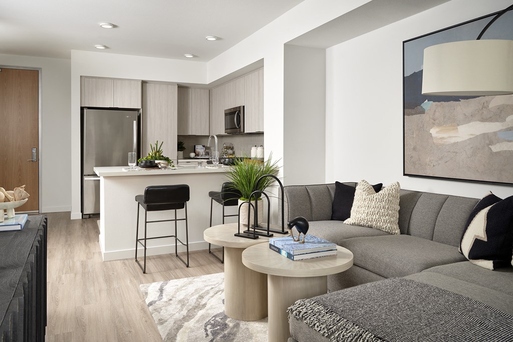 a living room and kitchen in an apartment
