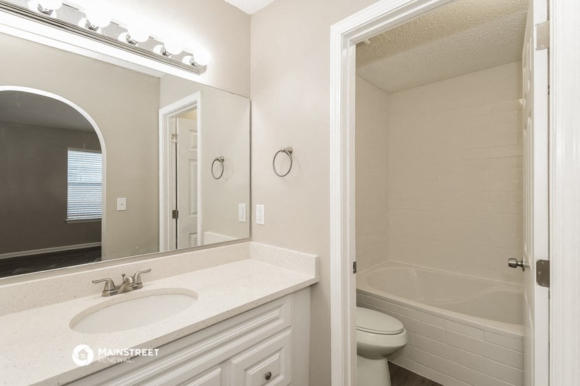 a bathroom with a sink and a toilet and a mirror