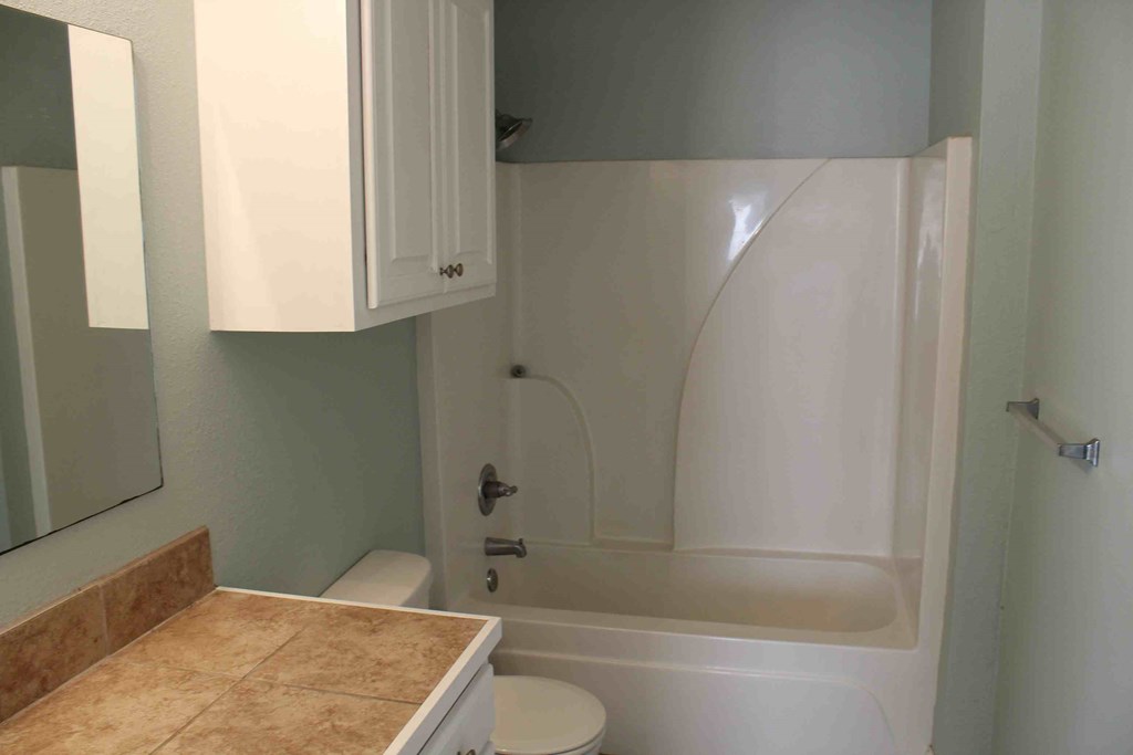 a bathroom with a tub and a sink and a toilet