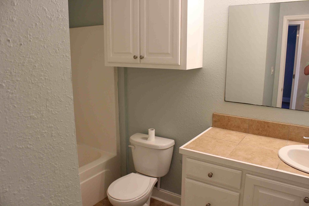 a bathroom with a toilet and a sink