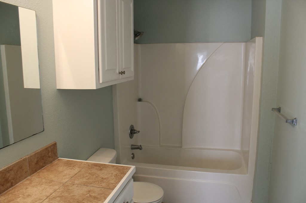 a bathroom with a tub and a sink and a toilet