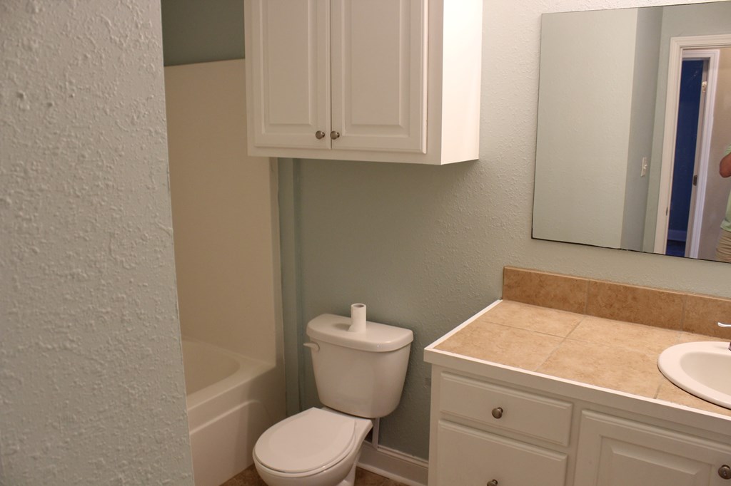 a bathroom with a toilet and a sink and a bath tub
