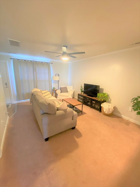 A living room with a white couch and a television.