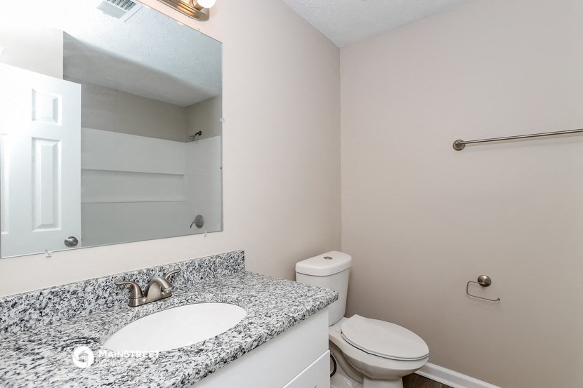 a bathroom with a sink and a toilet and a mirror