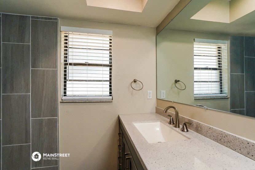 a bathroom with a sink and a large mirror