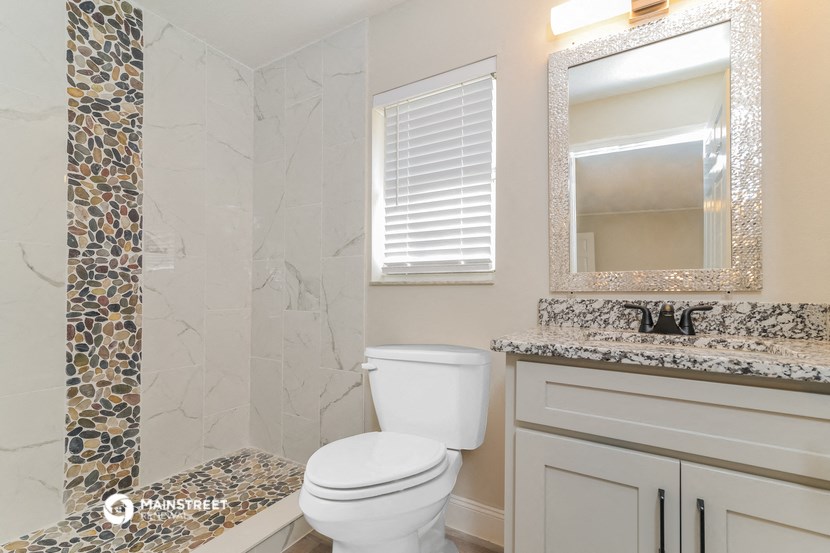 a bathroom with a toilet and a sink and a mirror