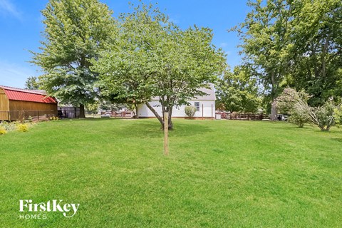 a backyard with a small tree in the middle of the grass