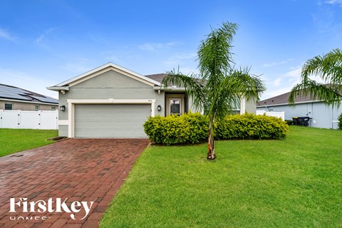 a home with a palm tree in the front yard