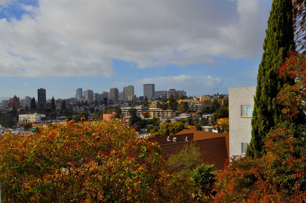 a view of the city skyline from a hillside
