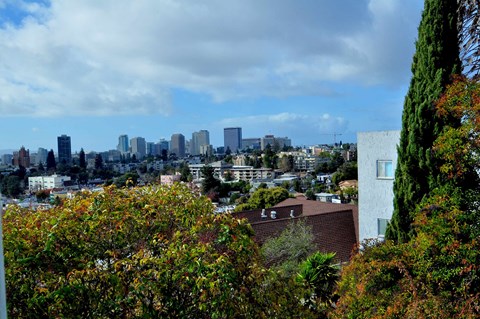a view of the city skyline from a hill