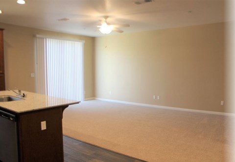 A kitchen area with a counter and a window with blinds.