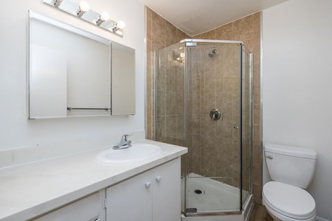 A bathroom with a white sink, toilet, and a glass shower stall.
