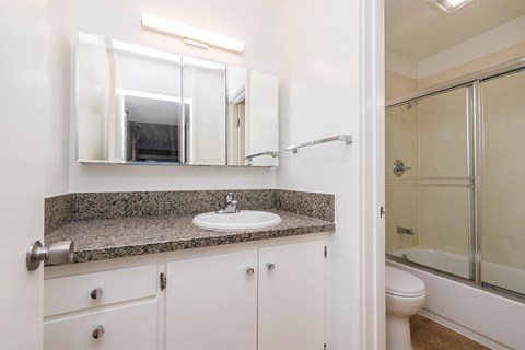 a bathroom with a sink and a mirror and a shower