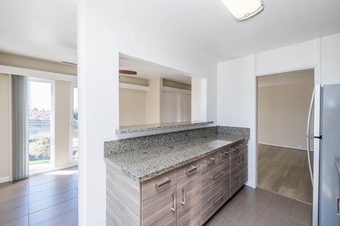 A kitchen with a granite countertop and wooden cabinets.
