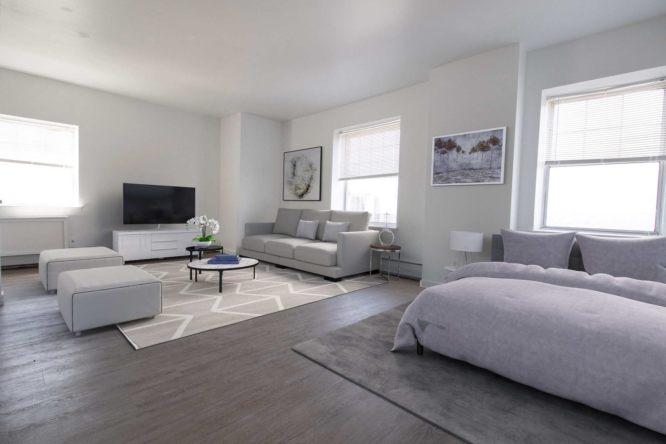 a bedroom with a bed and a living room with a couch and a tv