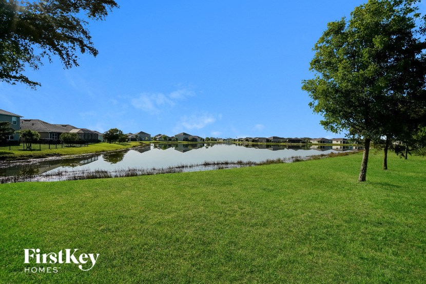 a body of water in a grassy area with trees