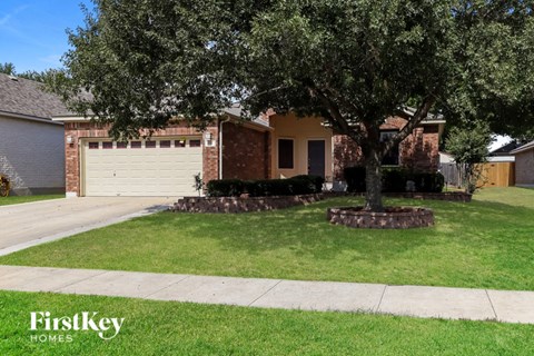 A tree in a grassy area with a house in the background.