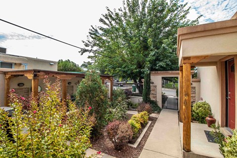 a courtyard with a house and a tree