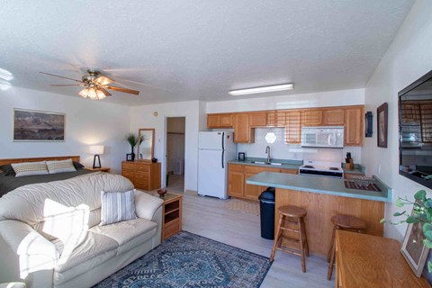 a living room and kitchen with a couch
