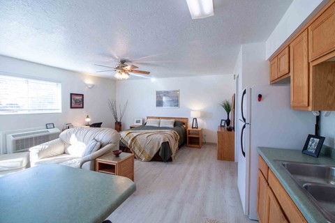 a bedroom with a couch and a bed in a living room