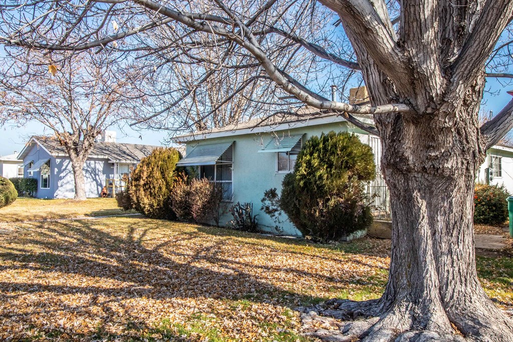 a blue house with a large tree in front of it