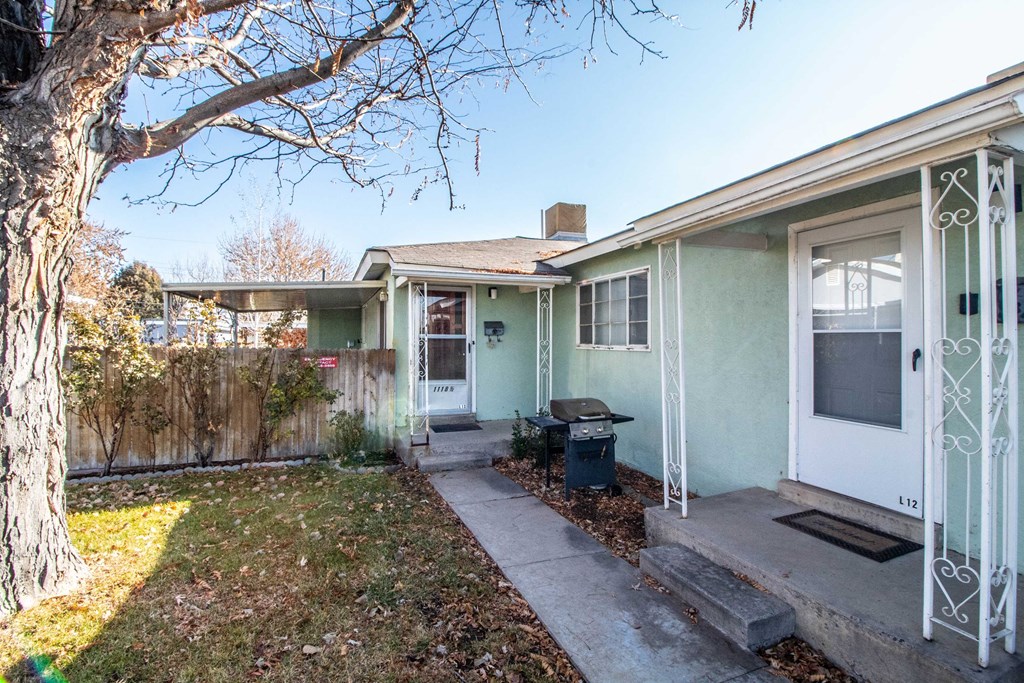 a small green house with a yard and a tree