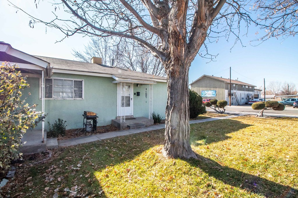 the front of a house with a tree in the yard