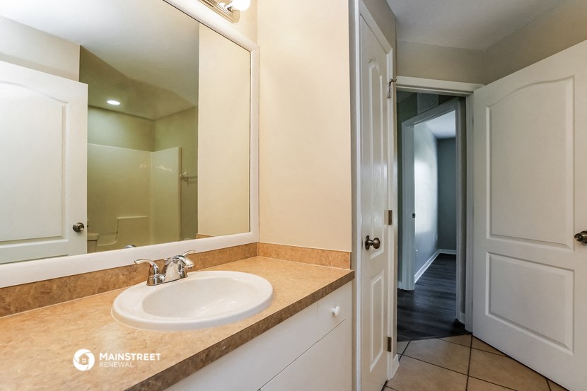 a bathroom with a sink and a large mirror