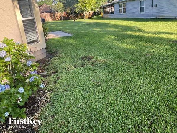 a yard with green grass and a house