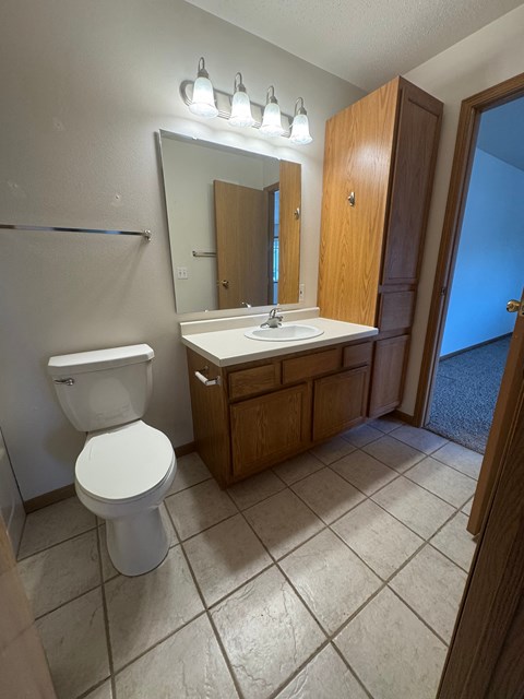 A bathroom with a toilet, sink, and mirror.