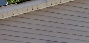 821 Regency Ct 3 Beds House for Rent - Photo Gallery 2