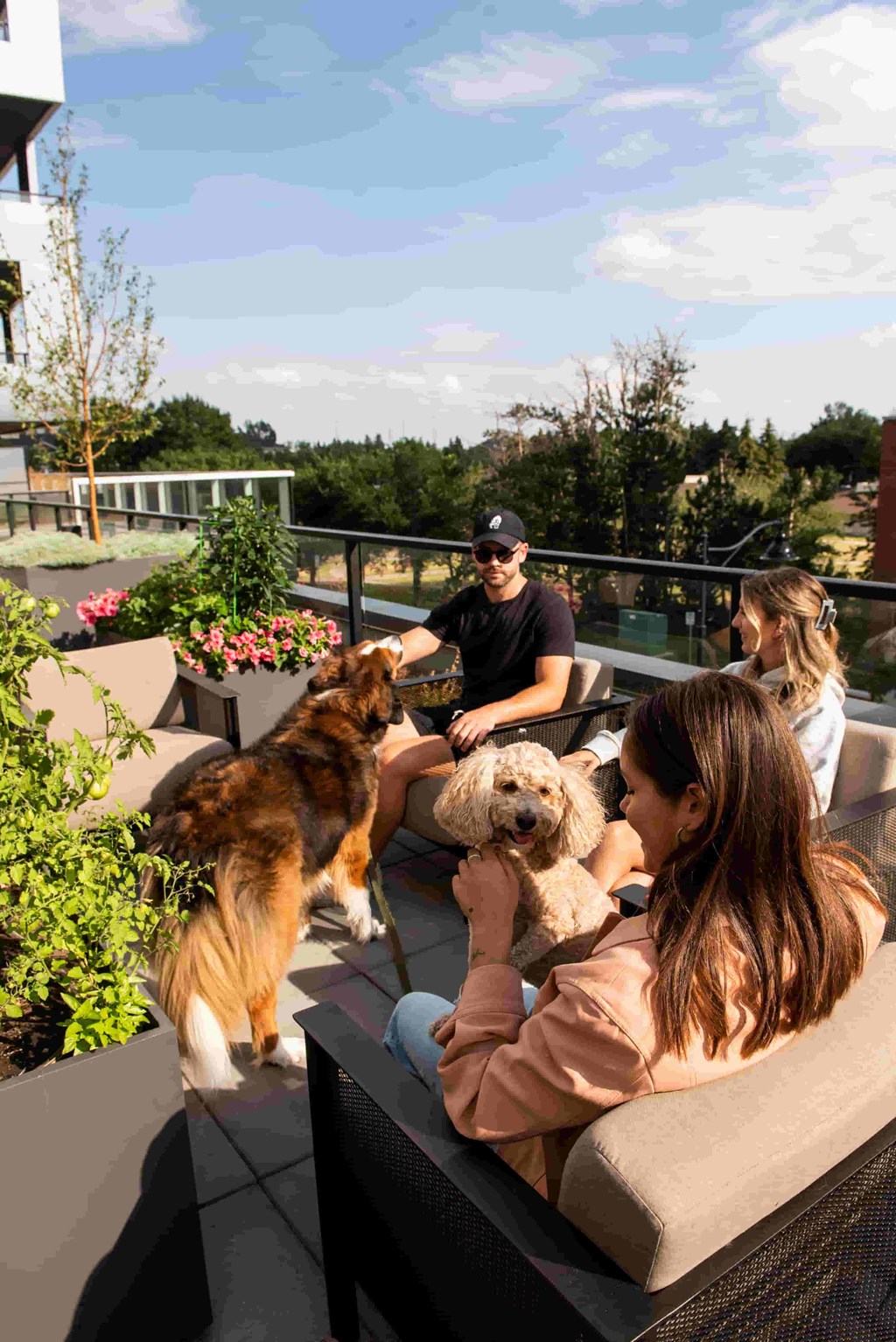 A woman is sitting on a couch with two dogs and a man standing behind her.